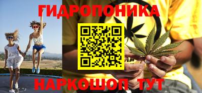 шишки Среднеуральск