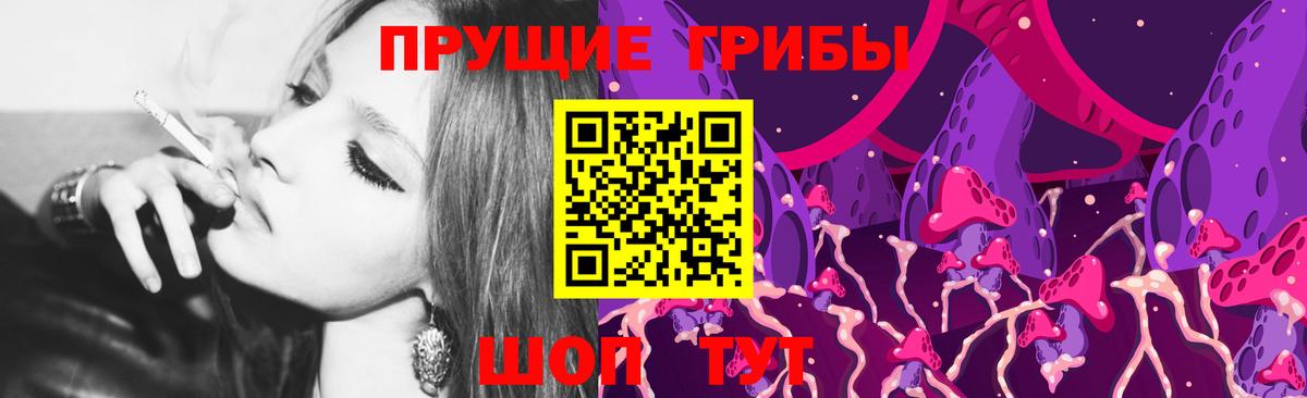 Галлюциногенные грибы Psilocybine cubensis  купить наркотики цена  Алатырь  Вход с VPN 